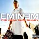 100 Greatest Rap Lines In Hip Hop History Slim Shady