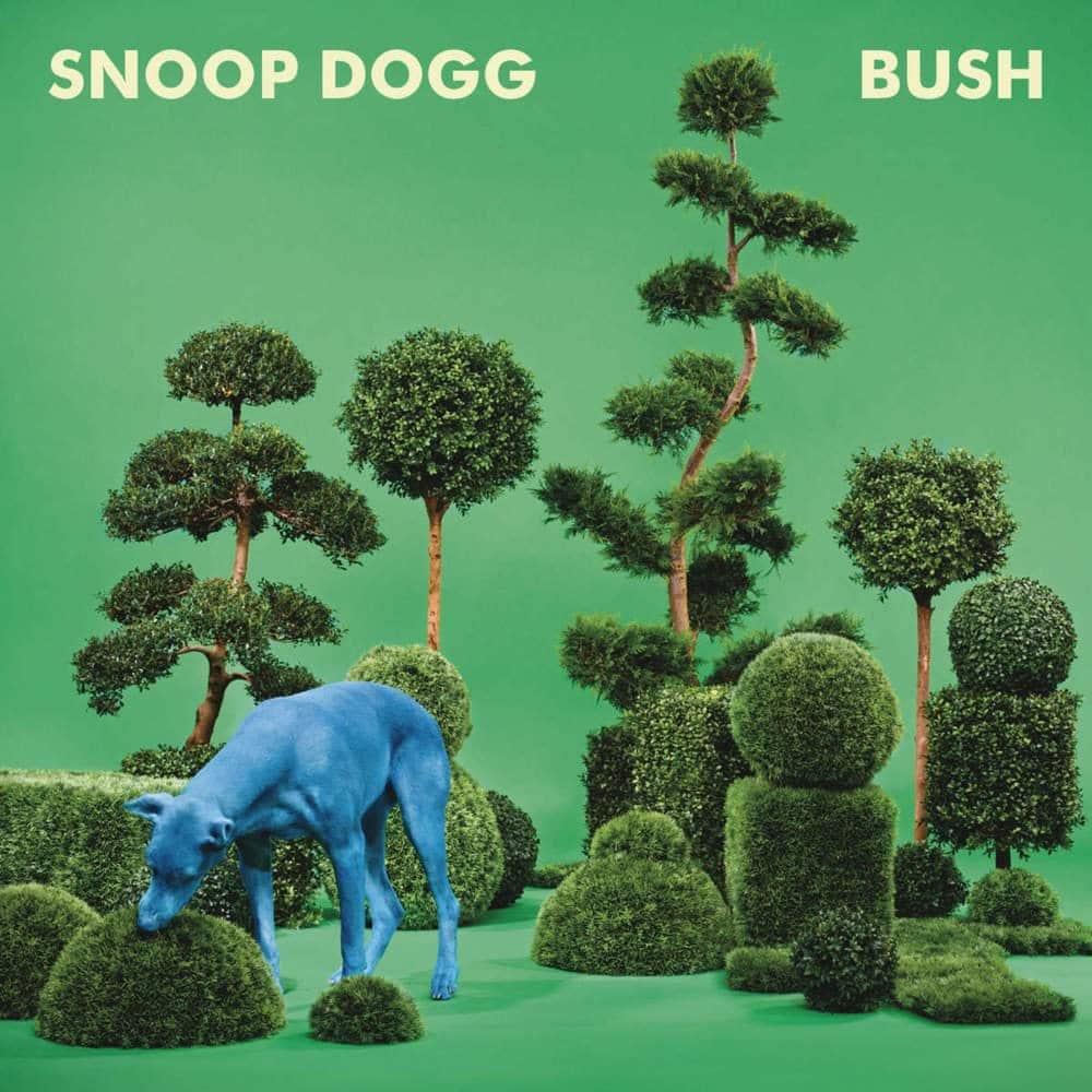 Ranking Snoop Dogg First Week Album Sales Bush