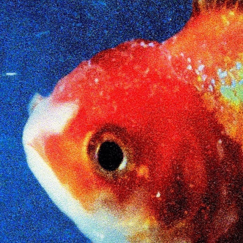 50 Best Hip Hop Albums Of The 2010S Big Fish Theory