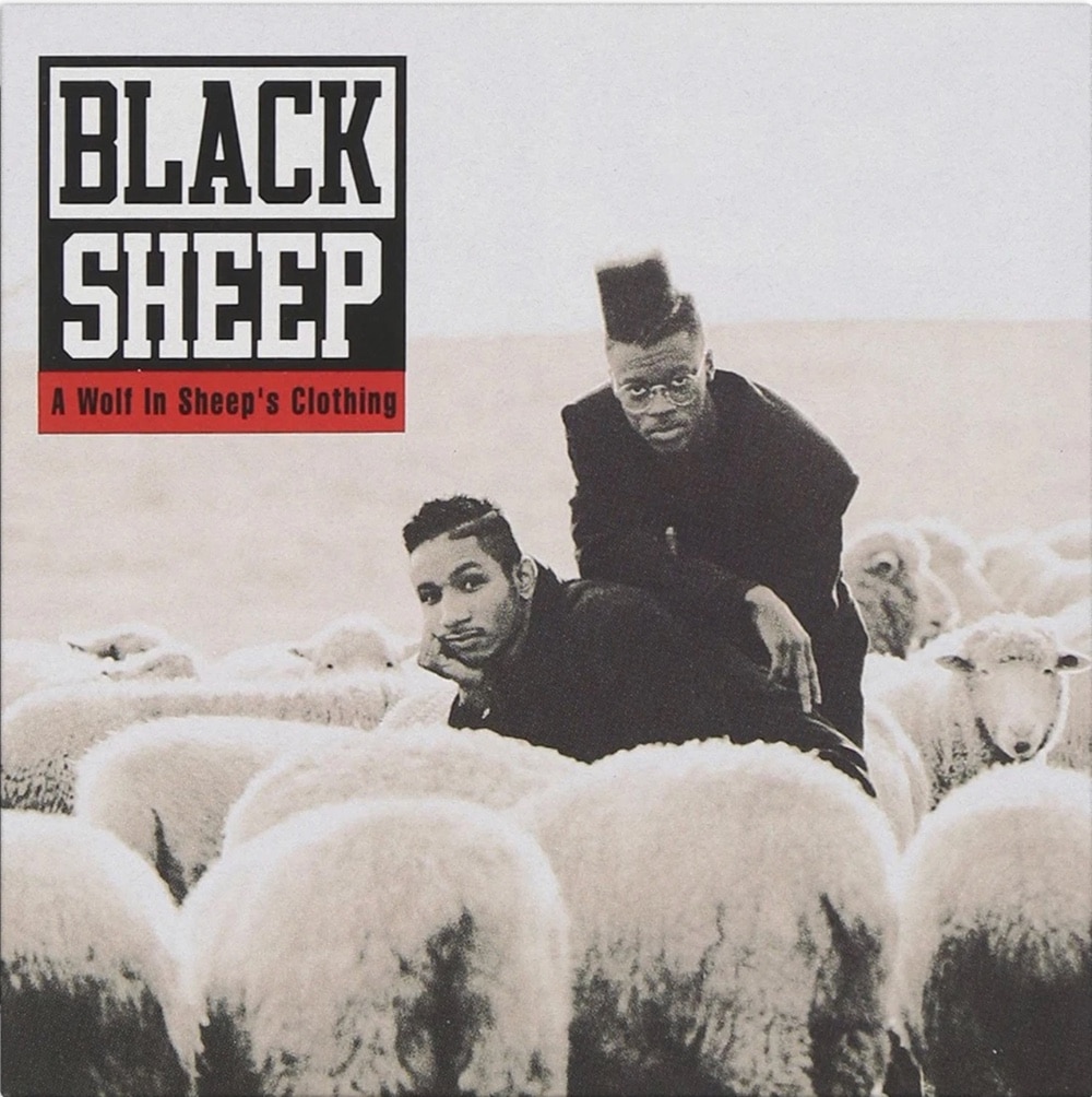 50 Best Hip Hop Albums Of The 1990S Black Sheep