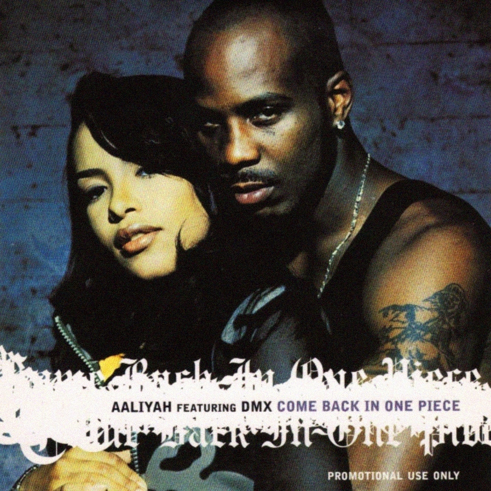 Top 10 Best Dmx Guest Verses Of All Time Aaliyah