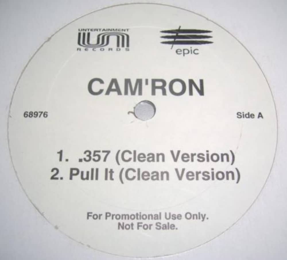 Top 10 Best Dmx Guest Verses Of All Time Camron