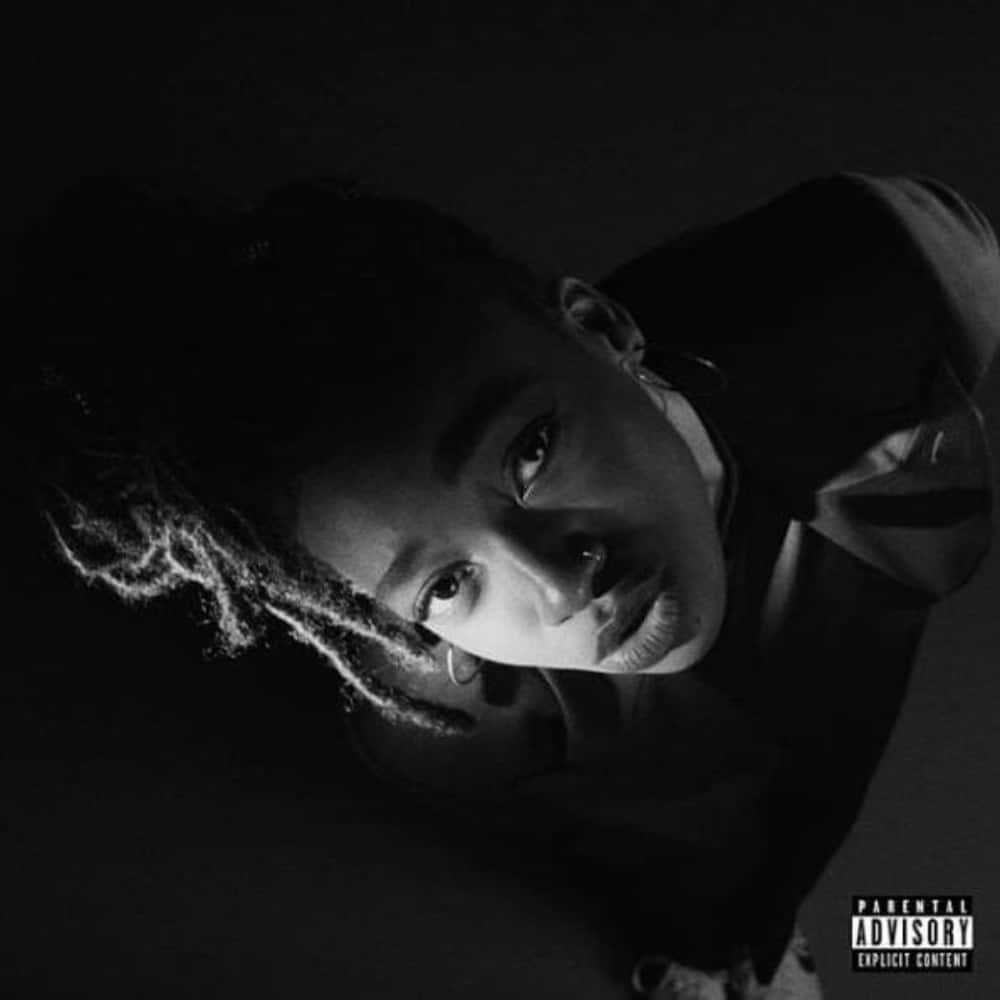 Top 25 Best Hip Hop Albums Of 2019 Little Simz