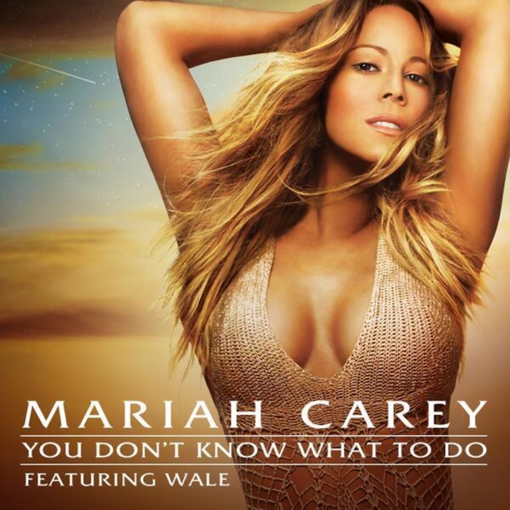Top 50 Best Pop Songs With Rap Features Of All Time Mariah Carey Wale