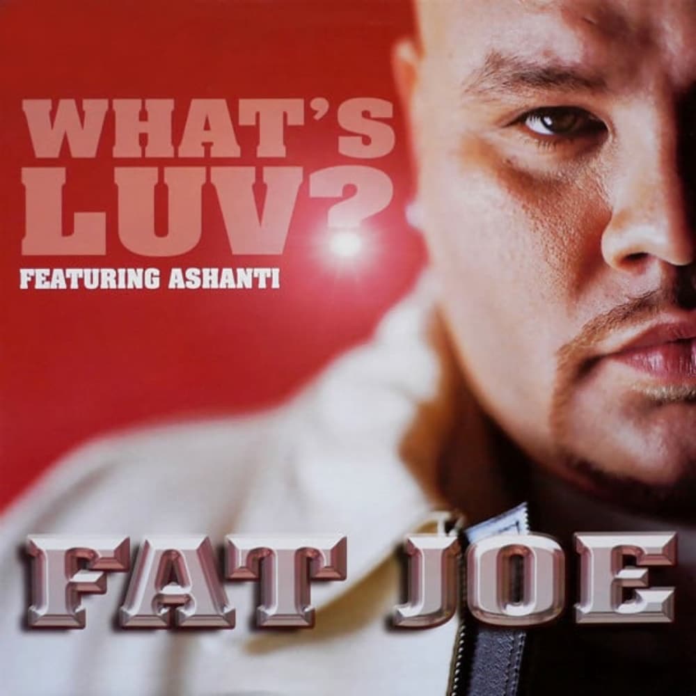 Top 50 Rap Songs With Rnb Features Of All Time Fat Joe Whats Luv