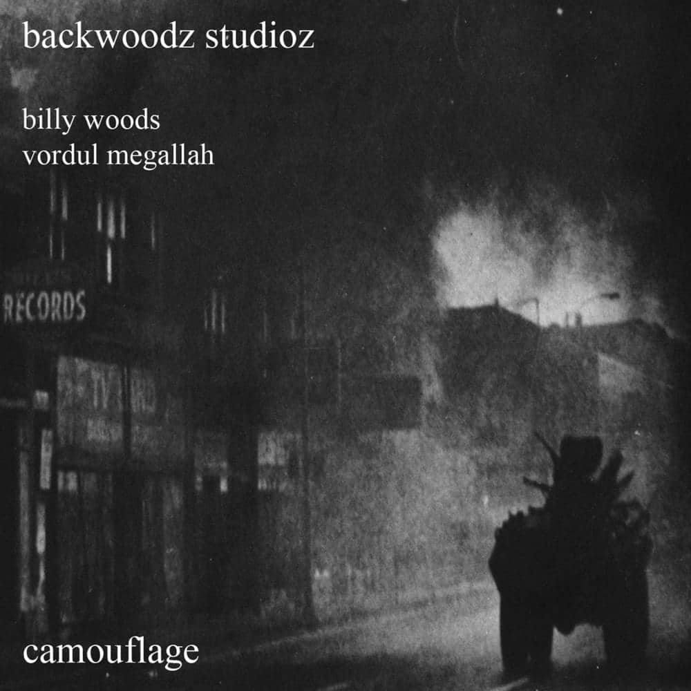 Ranking The Top 10 Best Billy Woods Albums Camouflage