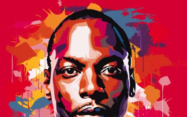 MC Solaar - illustration
