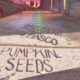 Aesop Rock Pumpkin Seeds