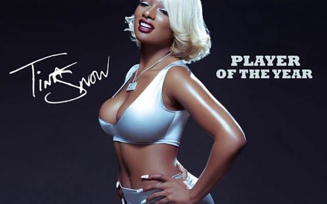 Megan Thee Stallion - Tina Snow