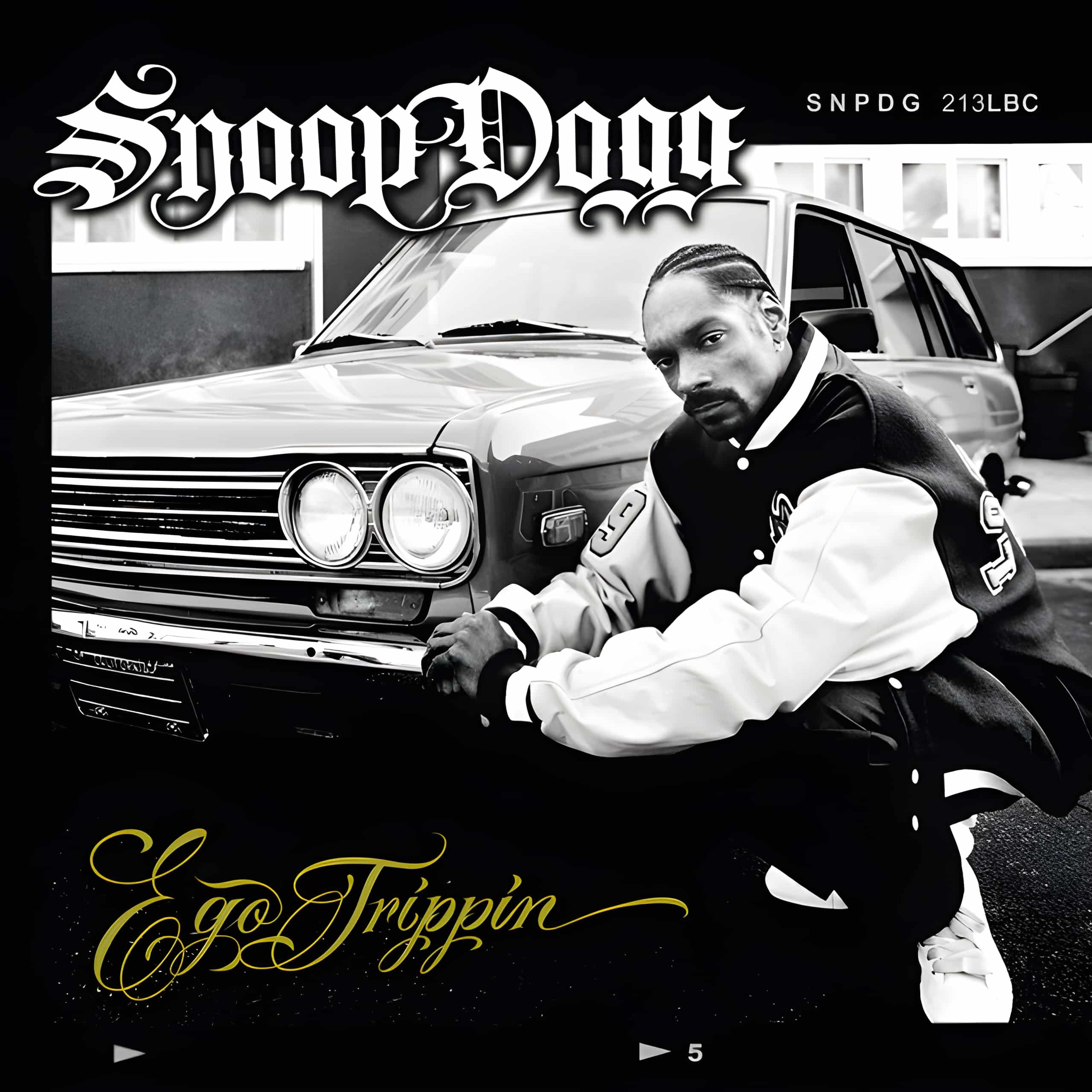 Snoop Dogg Gangsta Like Me