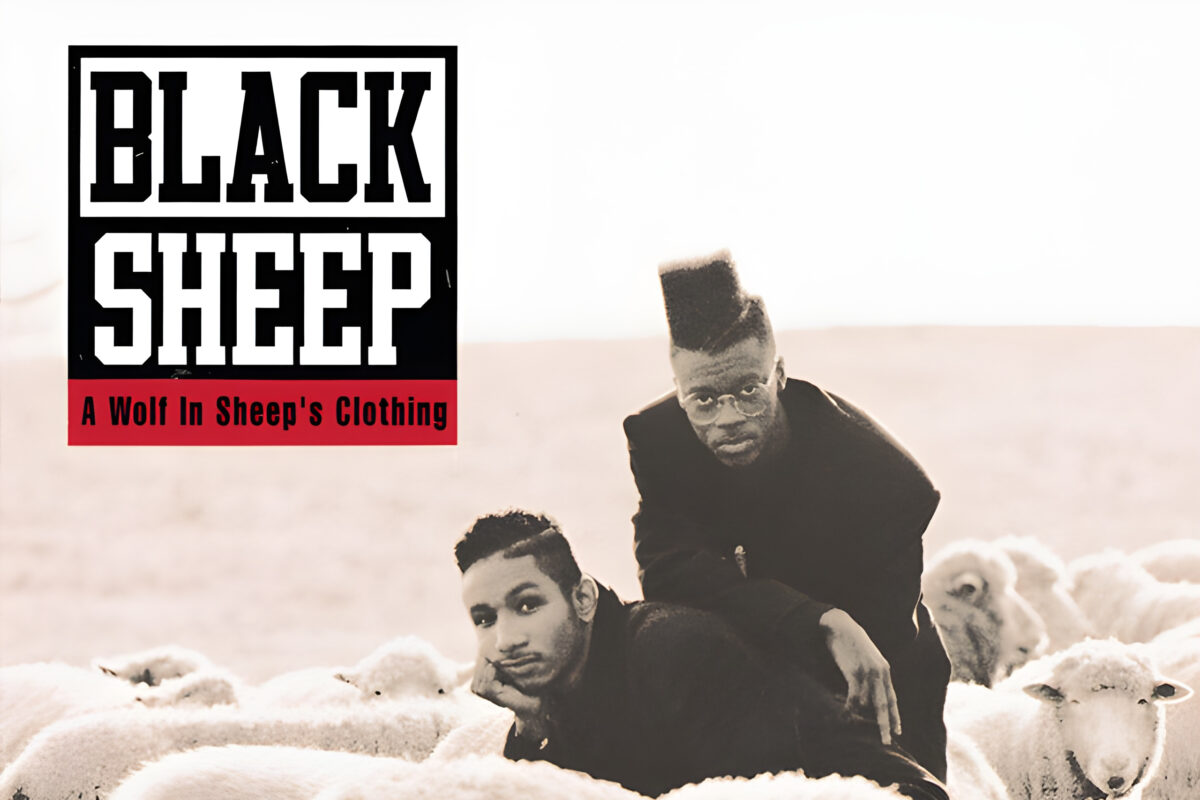 Black Sheep