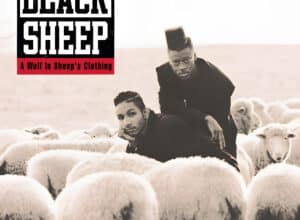 Black Sheep