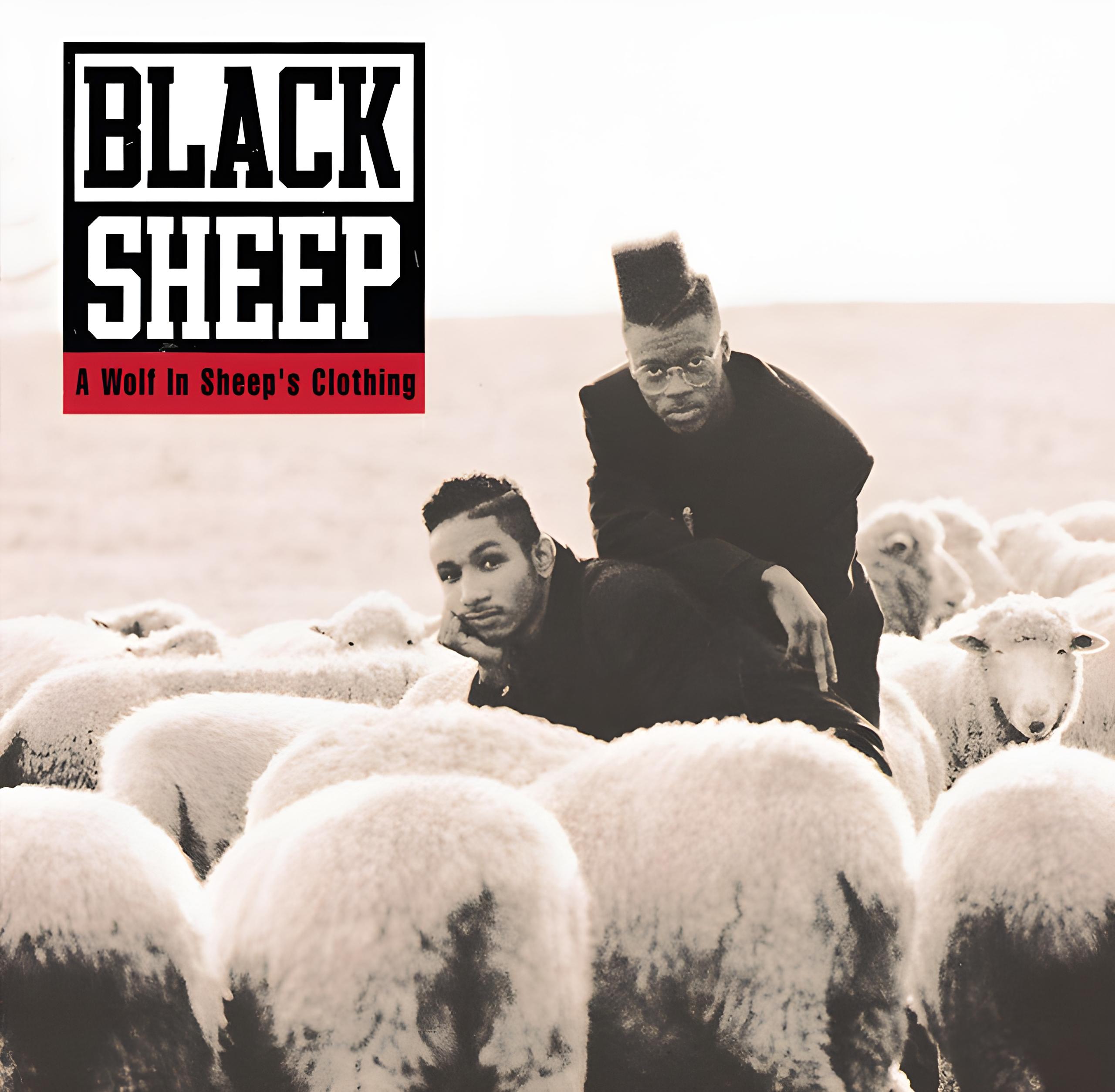 Black Sheep Blunted 10