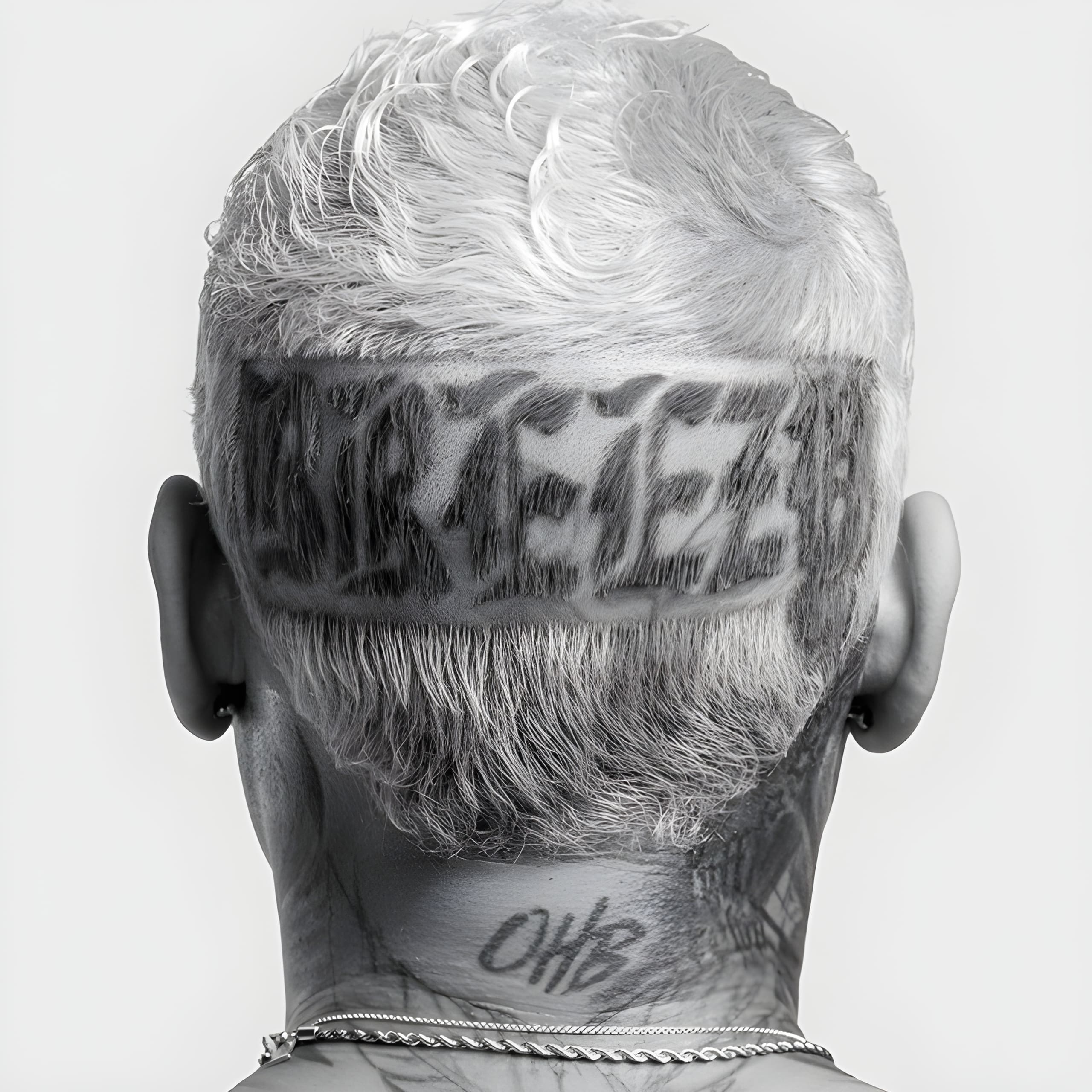 Chris Brown On Some New Sh*t